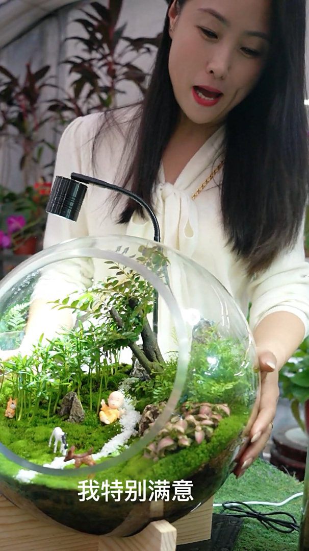 废旧玻璃鱼缸种上这些花草,变身迷你小花园,人见人爱!精明!萤火打卡