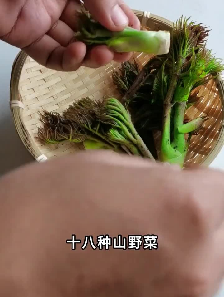 十八种山野菜,认识10种以上的,都是东北人山野菜科普