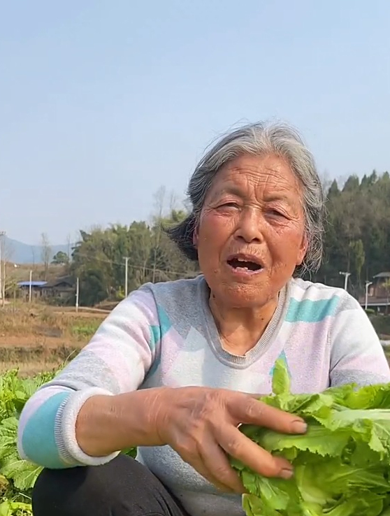 儿菜比排骨都养人,护肝养胃别错过,常吃对身体有这么多好处!