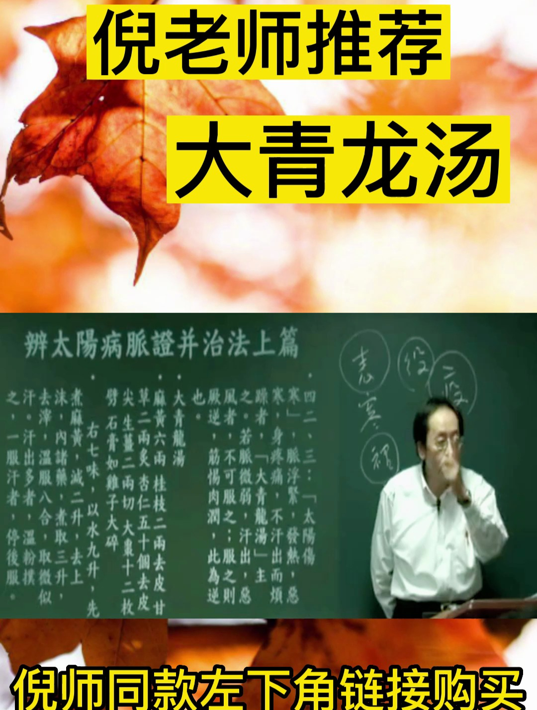 倪教授说:大青龙的功效有很多,你有了解过吗?