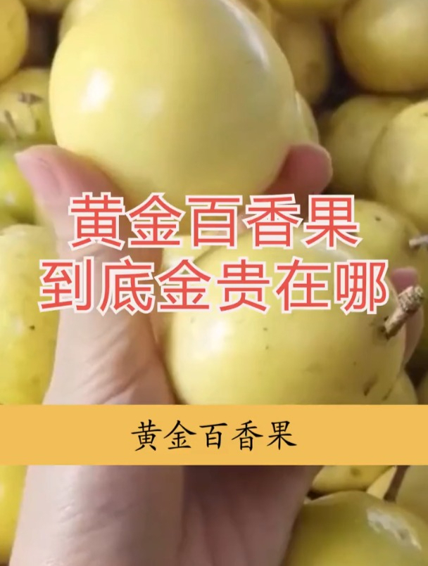 黄金百香果 你吃过吗
