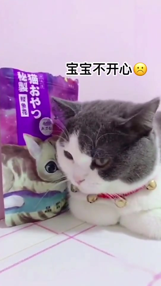 鲣鱼花的一百种盛开方式 小鱼花快到喵嘴里来吧