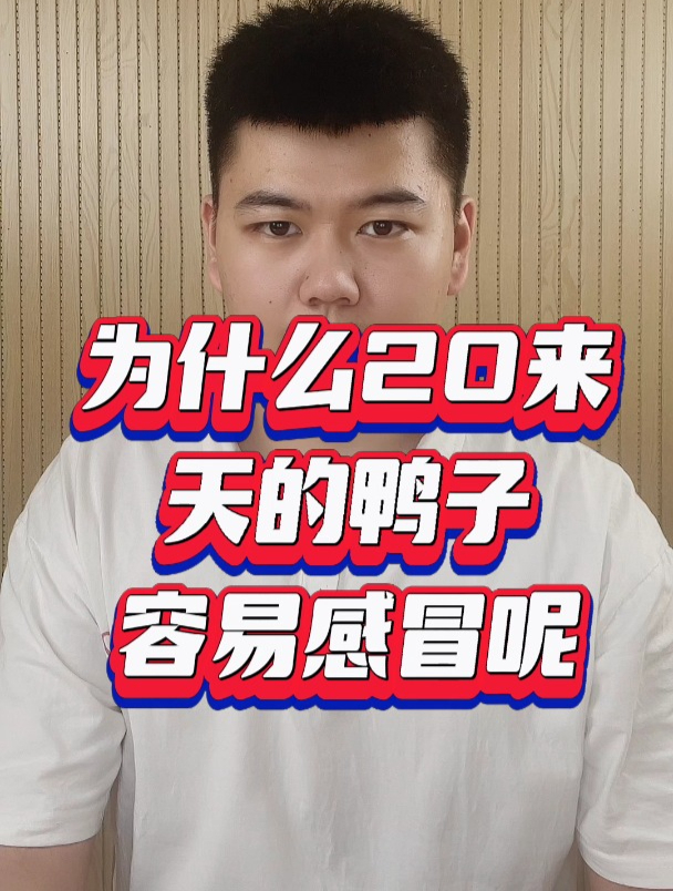 鸭子感冒用什么怎么判断鸭子感冒鸭子感冒了吃什么