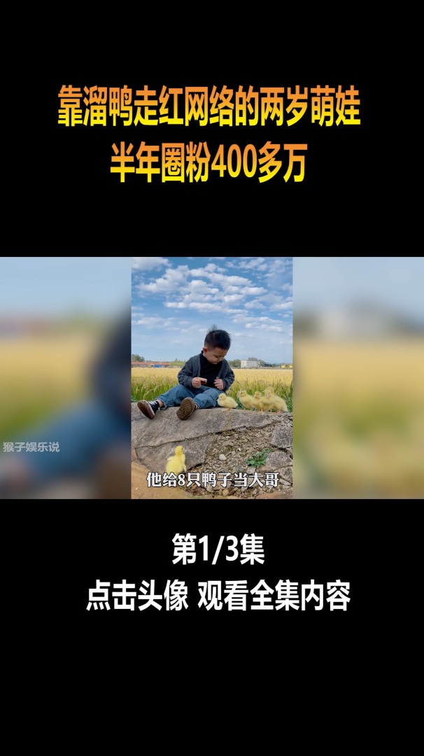 1.靠溜鸭走红的两岁萌娃,半年圈粉400多万,多肉小盆友有何魅力