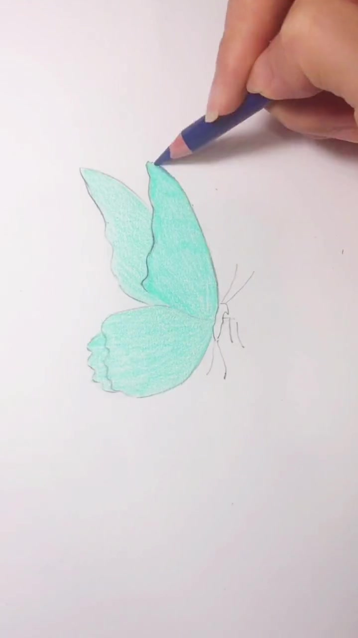 彩铅画,蝴蝶的简单画法