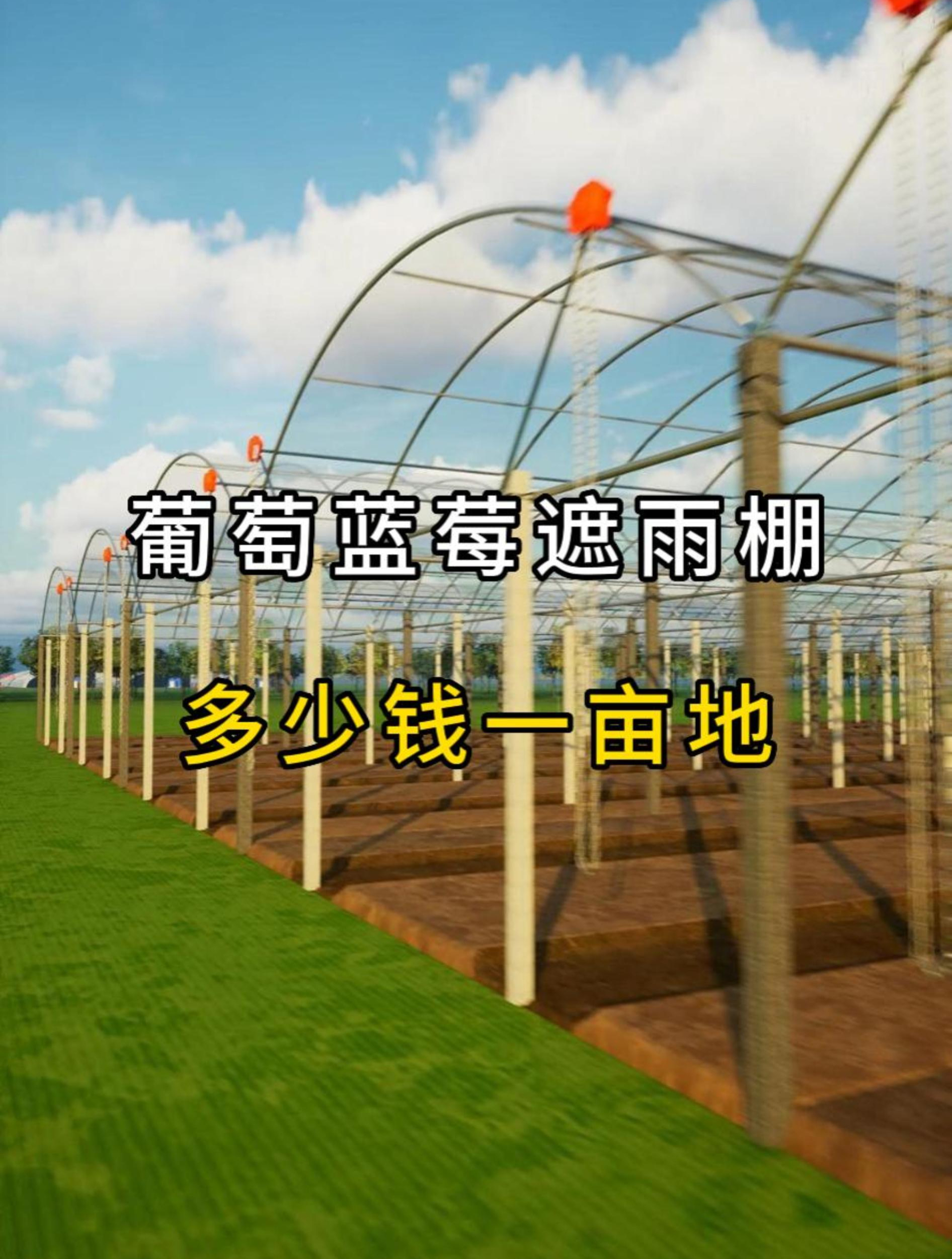 你们搭建的遮雨棚多少钱一亩地呢?水泥立柱,不带水槽,用料节省