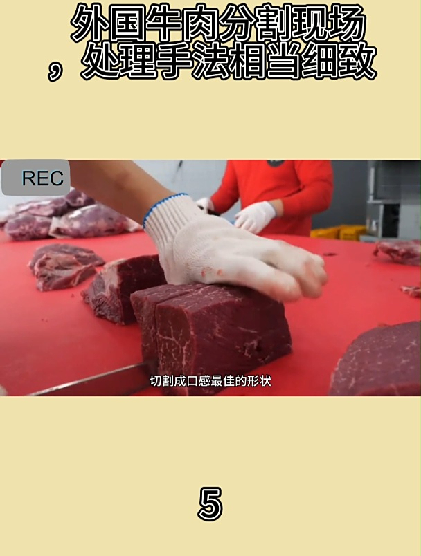 外国牛肉分割现场,处理手法相当细致5