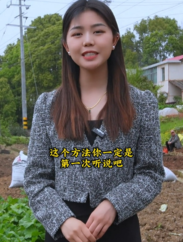 煮熟的小鲫鱼竟然也能拿来做肥料,这个你是不是第一次听说呢?