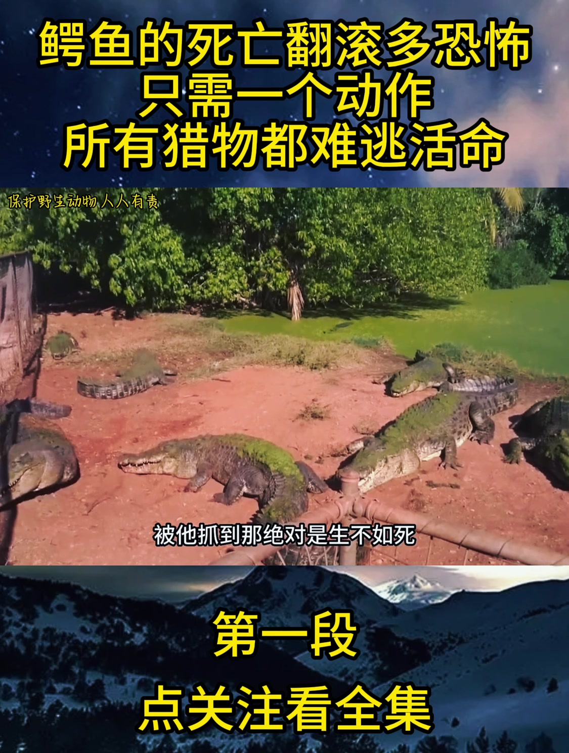 鳄鱼急了连自己伙伴的脚都吃,一个死亡翻滚同伴懵了