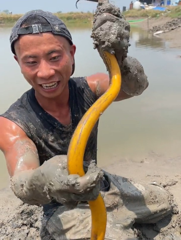 你们会分辨土鳝鱼和养的鳝鱼吗?