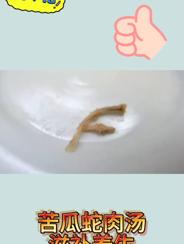 苦瓜蛇肉汤,滋补养生2