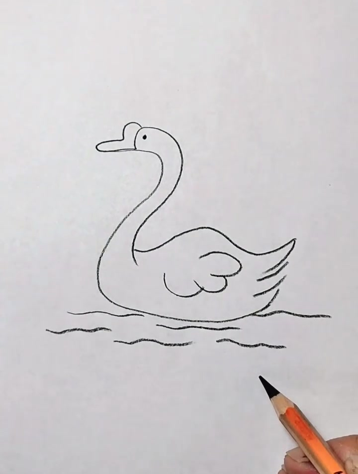 天鹅的画法 你学会了吗
