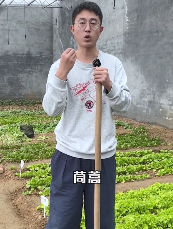 很多朋友打算春天种点蔬菜,下面这10种菜,特别适合春天种