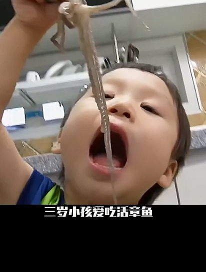 三岁小孩爱吃活章鱼,每天竟能吃掉好几只!奇闻趣事