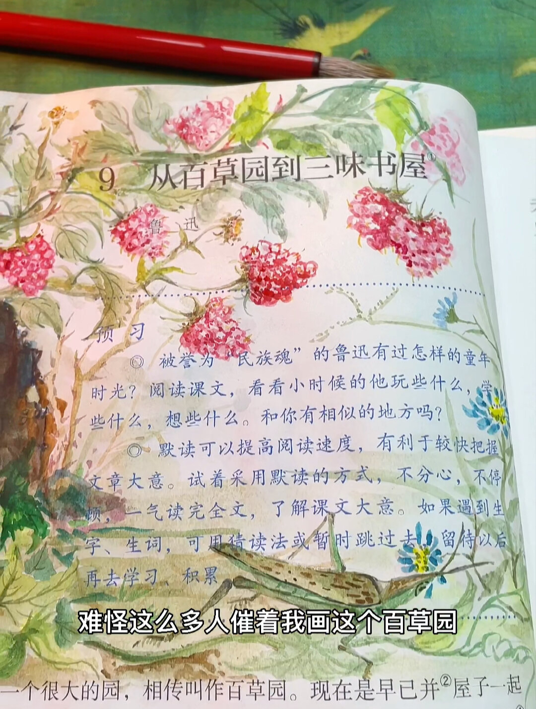 教科书改造第七集鲁迅百草园课本水彩插画