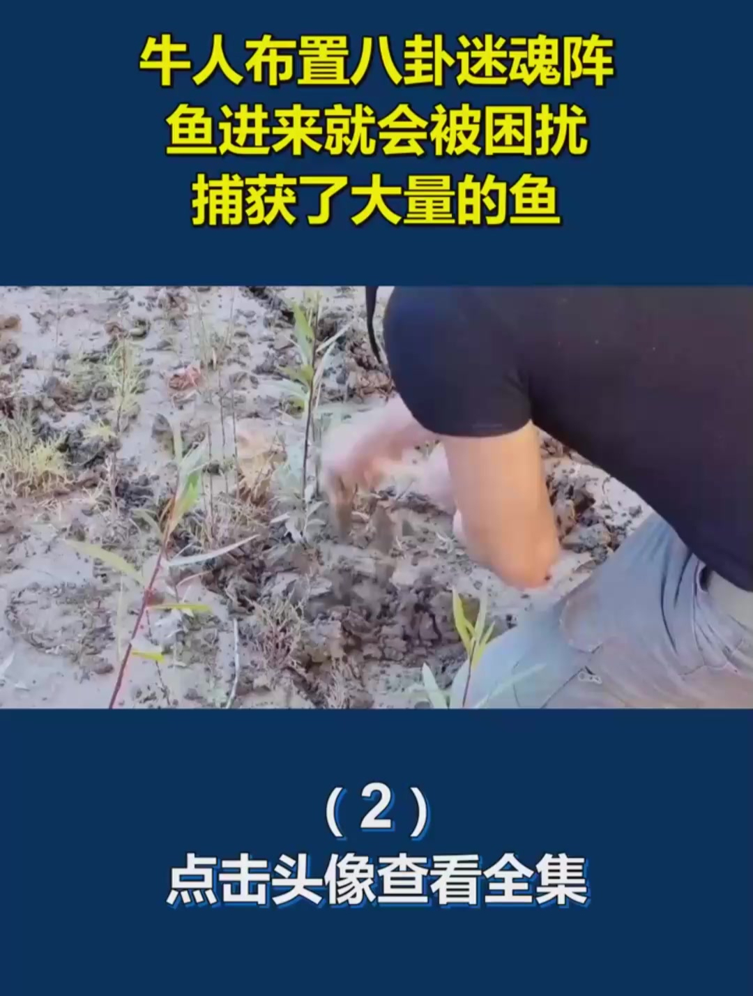 牛人布置八卦迷魂阵,鱼进来就会被困扰,捕获了大量的鱼