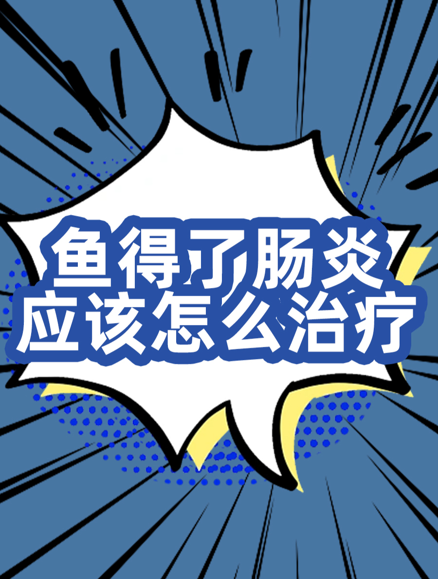 鱼儿不爱吃食?排便异常?鱼得肠炎怎么办?看看这里!