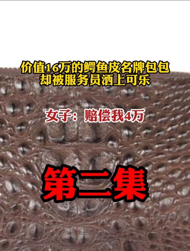 价值16万的鳄鱼皮名牌包包却被服务员洒上可乐!女子:赔偿我4万2