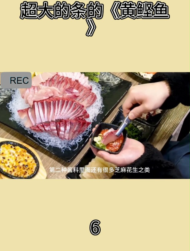 超大的条的《黄鲣鱼》6