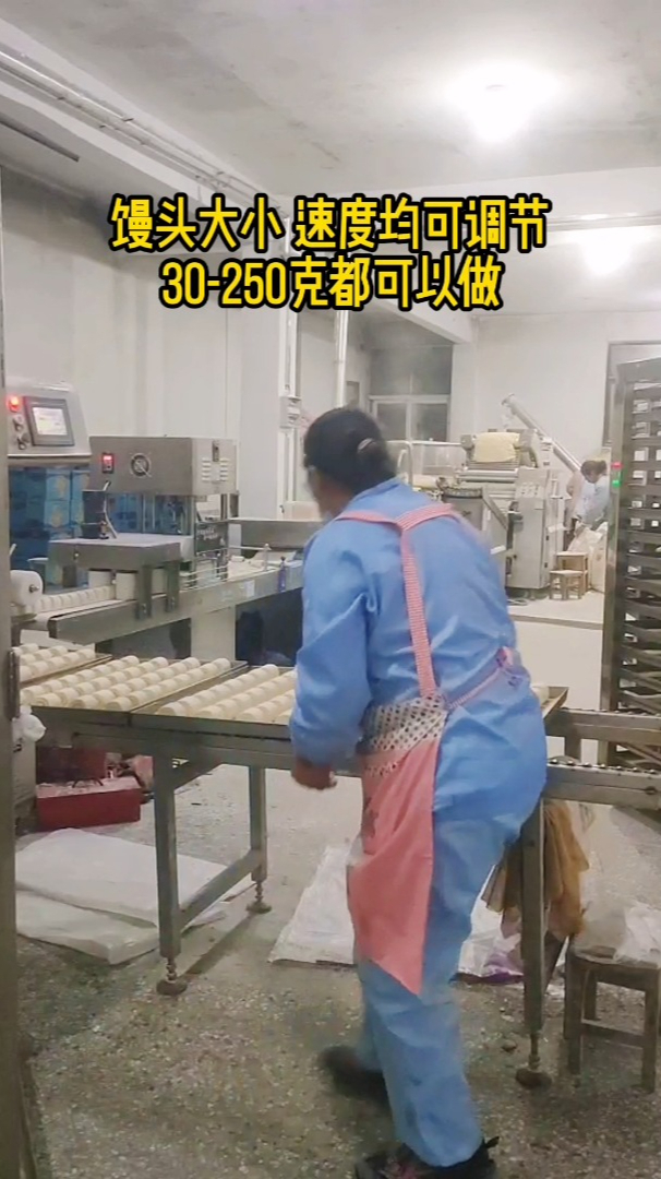 蒸馒头机器多少钱?一机多用,速度快,效益高专业技术团队提供服务