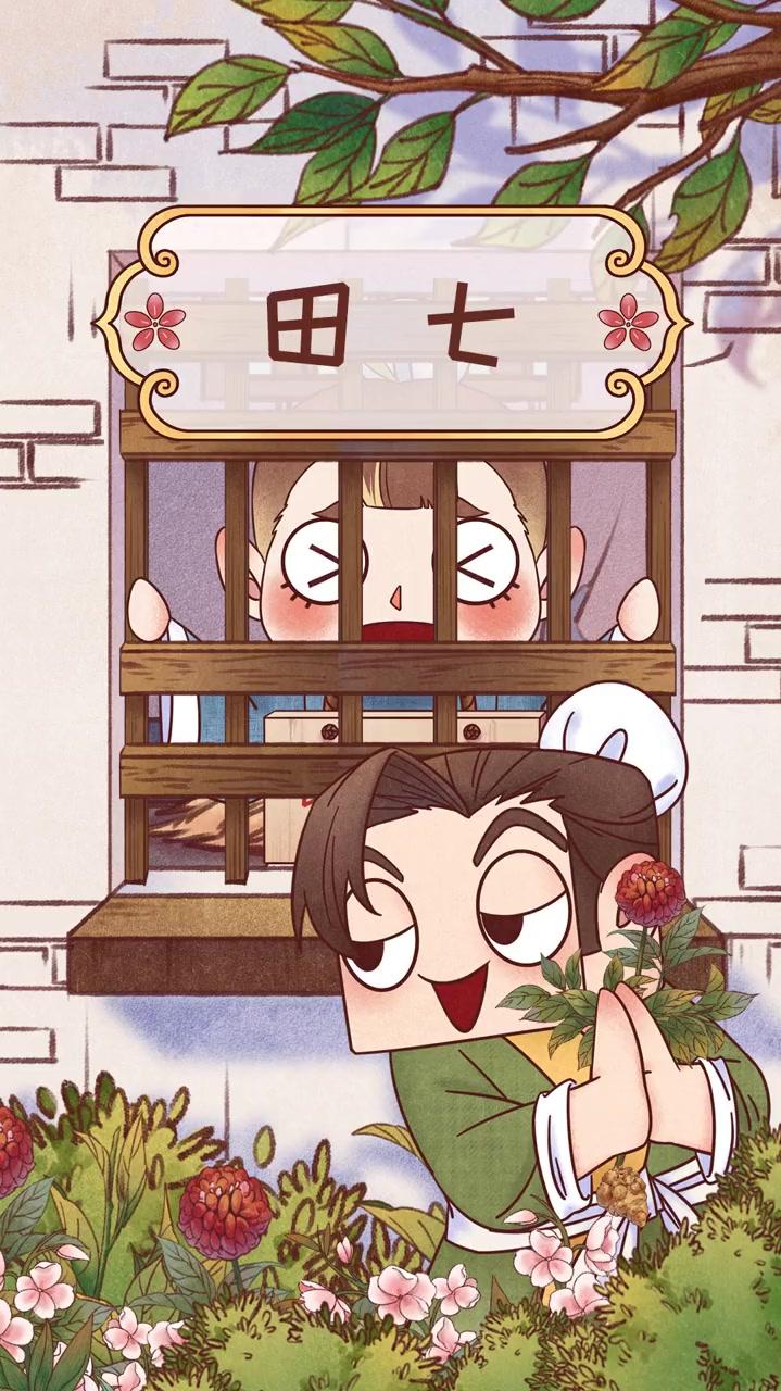 《中药趣味》小时候摔伤,你妈妈会煲田七炖鸡汤给你喝吗