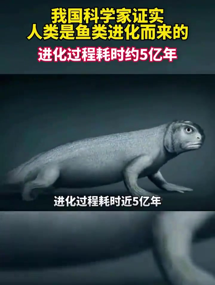 我国科学家证实,人类是鱼类进化而来的,进化过程耗时约5亿年!