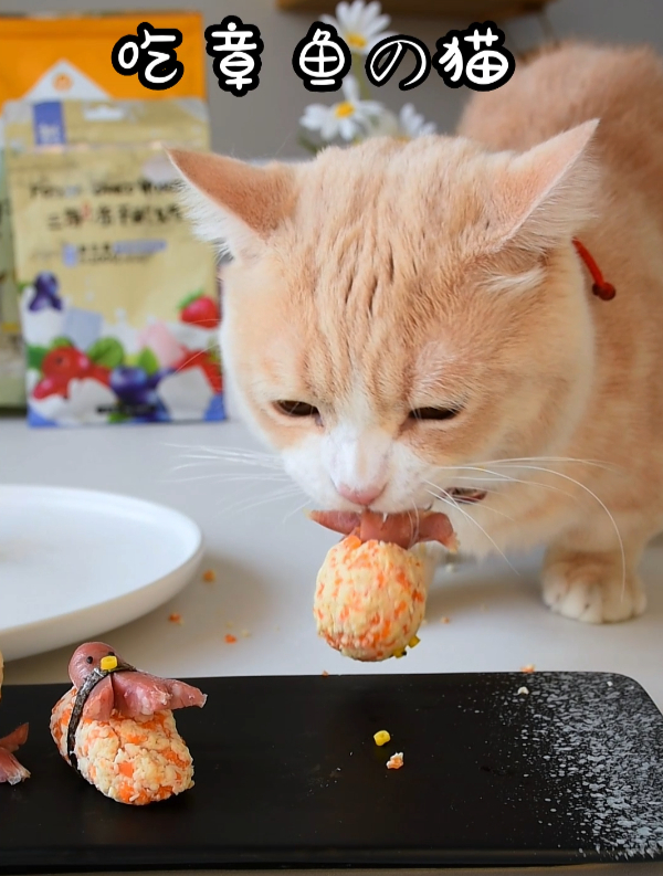 一分钟教会你如何用小香肠做出超萌的小章鱼