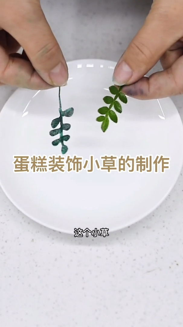 这种小草是不是你蛋糕上常用的装饰,店里没有备货怎么办?