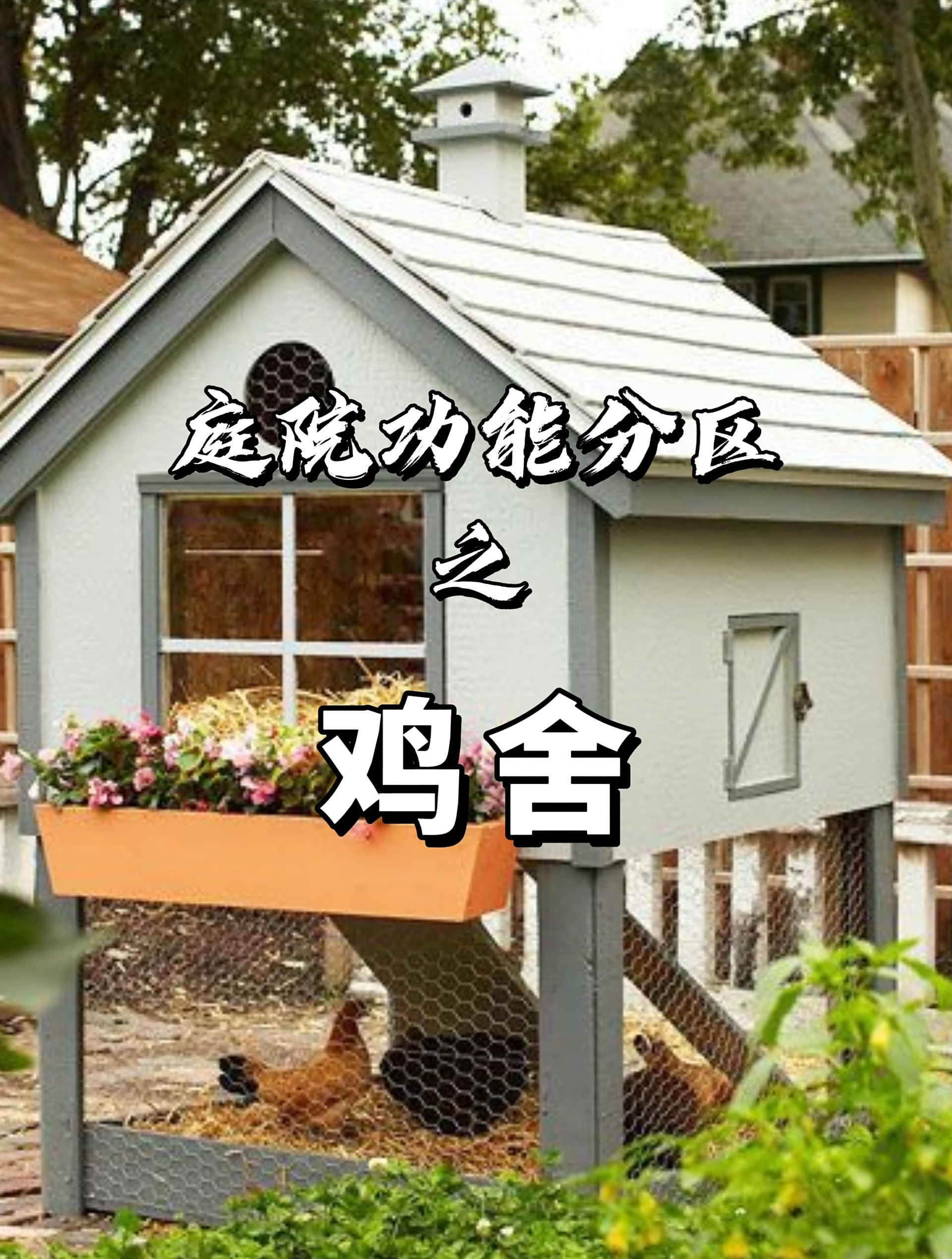 庭院功能分区之鸡舍