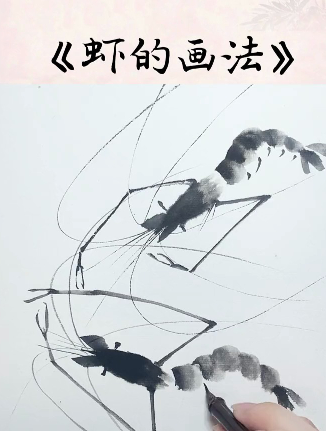 零基础学国画:简单易学的《虾的画法》,你学会了吗?