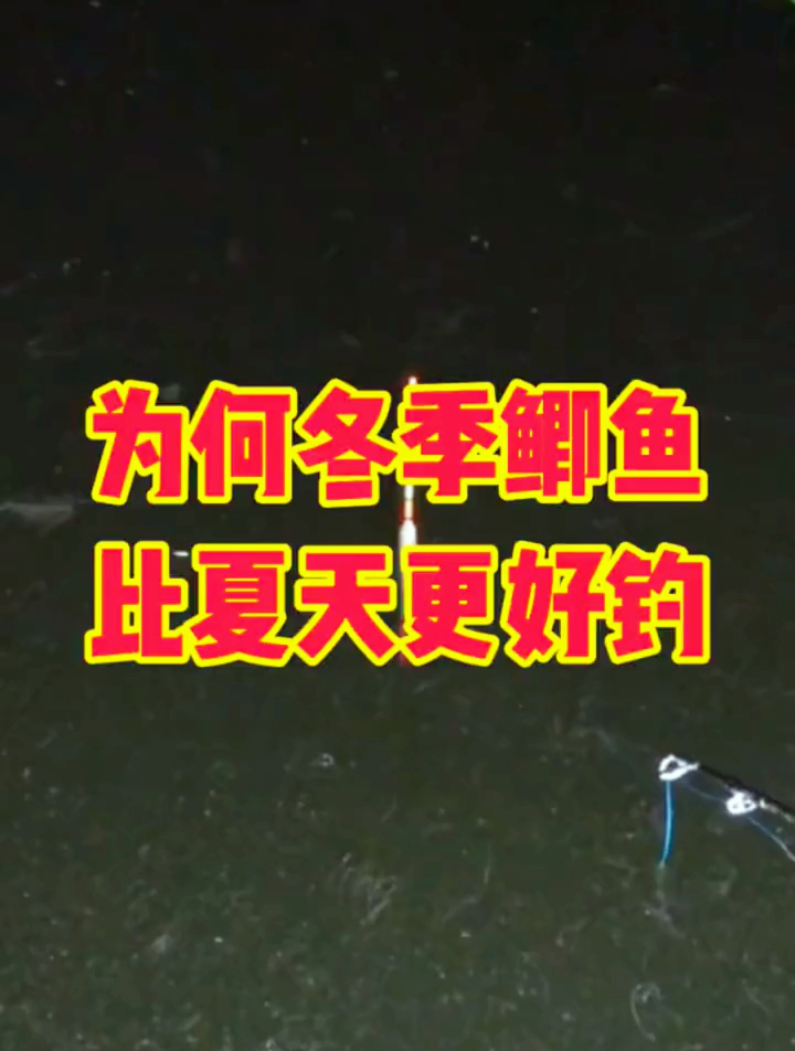 为什么冬季鲫鱼比夏天更好钓?