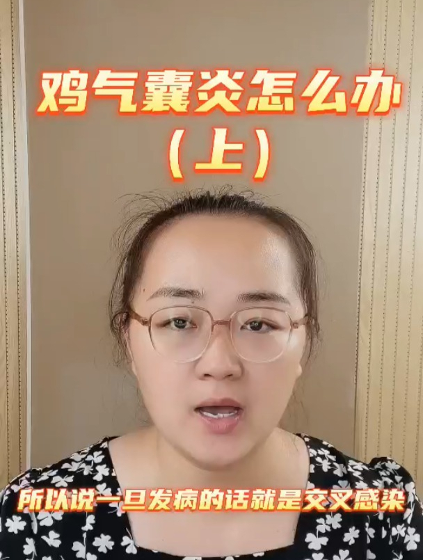 鸡气囊炎怎么办(上)鸡气囊炎是怎么引起的?鸡得了呼吸道怎么办