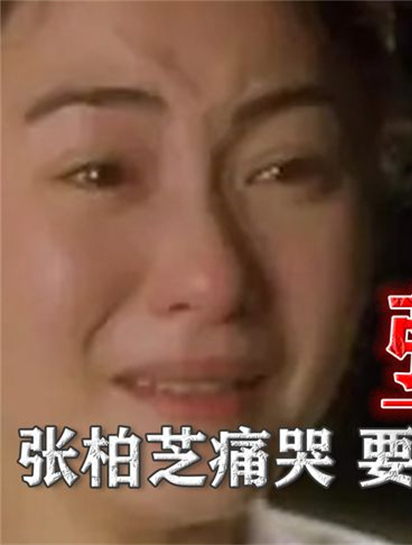 03年张国荣跳楼自杀,张柏芝痛哭:若不是因为我,哥哥不会死4
