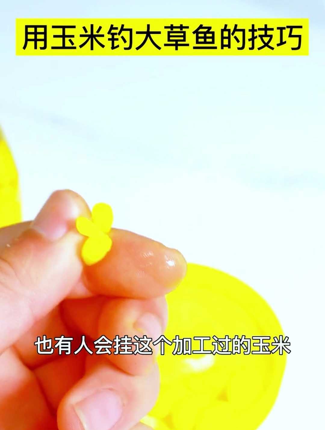 总教练教我们用玉米钓草鱼的技巧