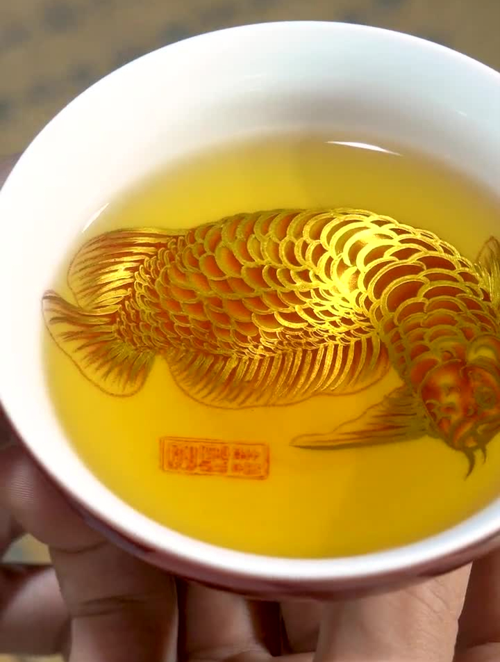 江祖清老师金龙鱼新款来咯!