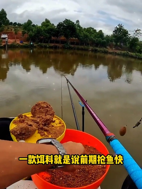 黑坑钓混养技巧:明白了这些套路,鱼塘老板再也坑不了你!