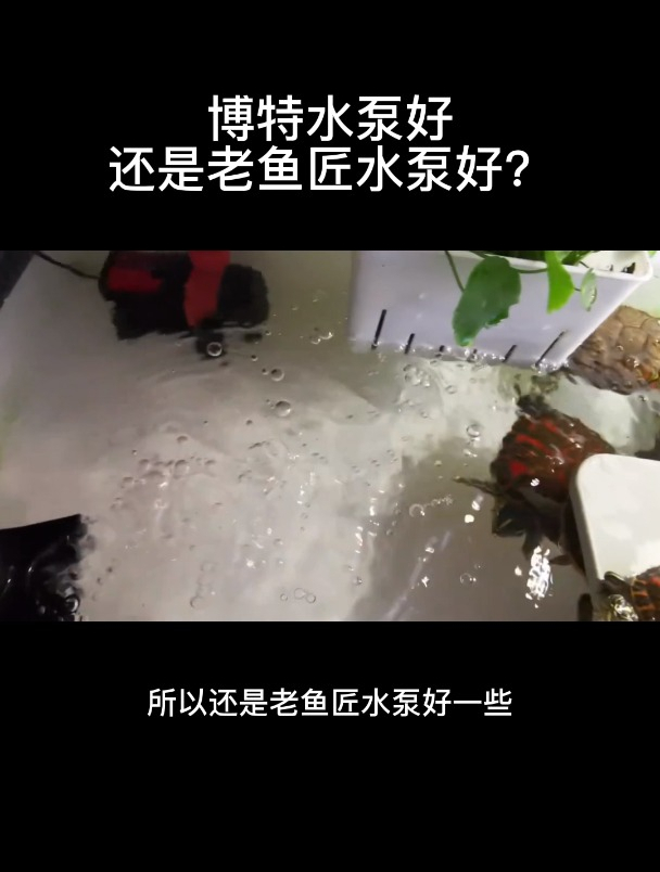 博特水泵好还是老鱼匠水泵好?