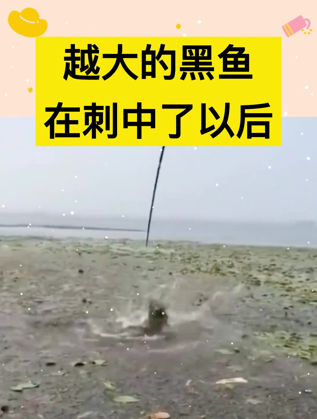 越大的黑鱼,在刺中了以后,洗腮越猛