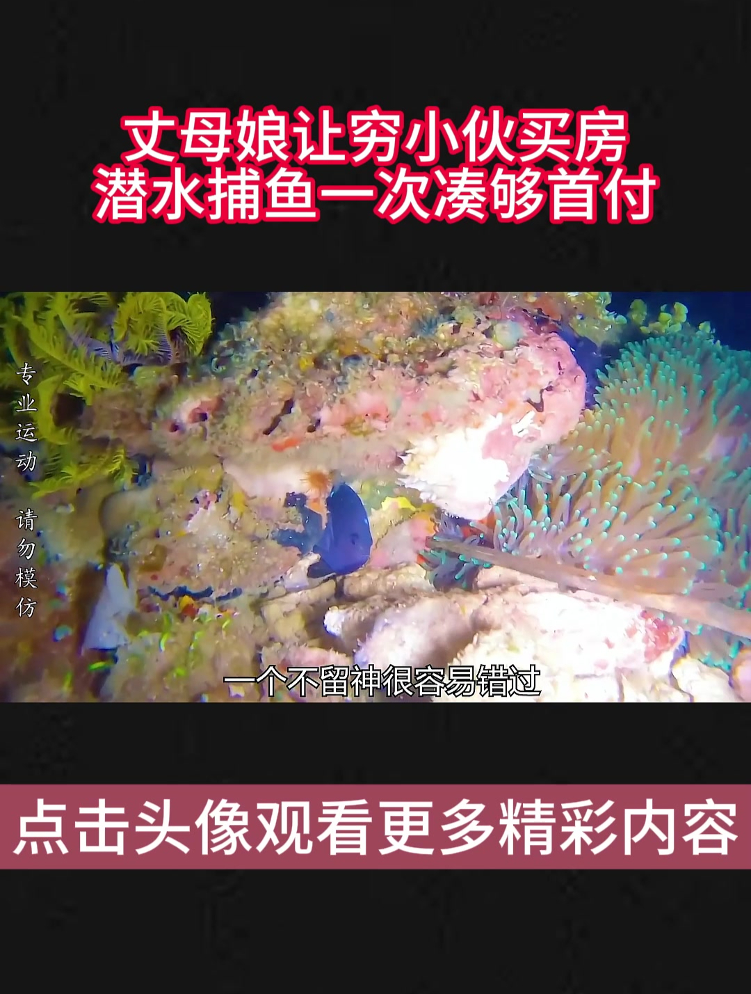 丈母娘让穷小伙买房,潜水捕鱼一次凑够首付