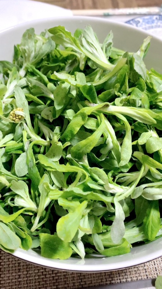 鼠尾草糯米糍(青团)的制作 自制美食