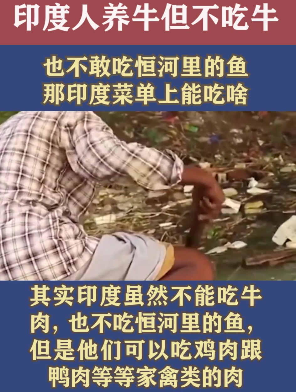 印度人养牛但不吃牛,也不敢吃恒河里的鱼,那印度菜单上能吃啥?