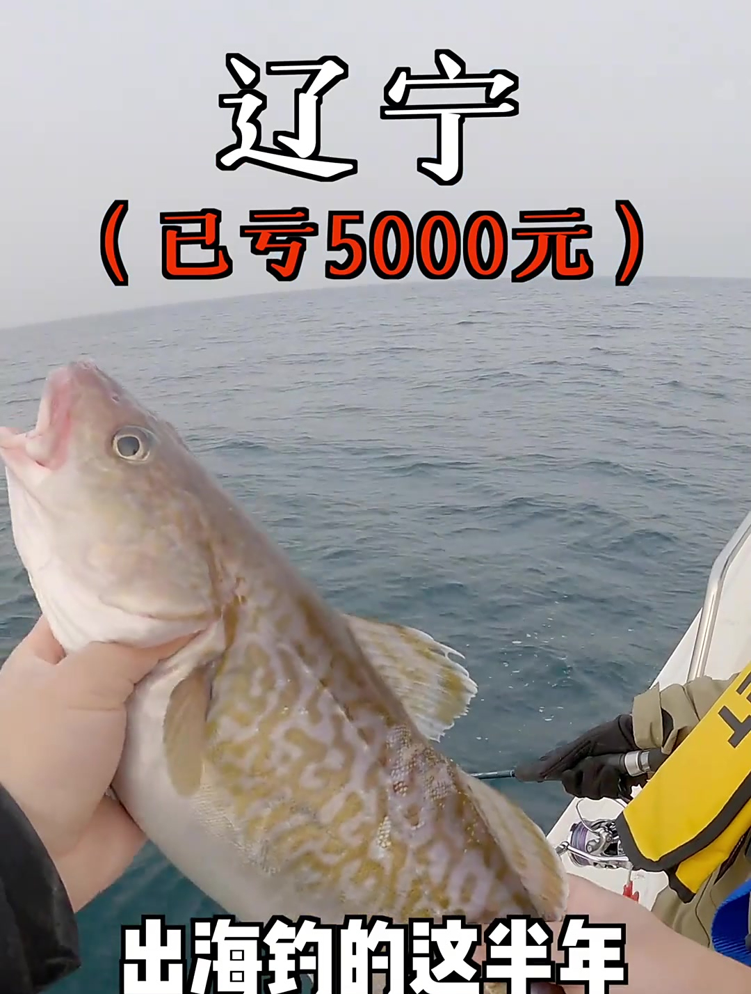热心钓友发现大连一无人荒岛海鱼泛滥了,帅小伙立马带女友前往……