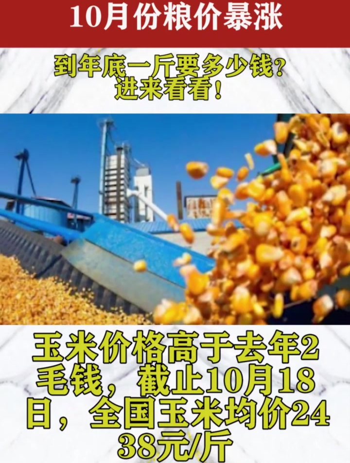 10月份粮价暴涨,到年底一斤多少钱?进来看看!