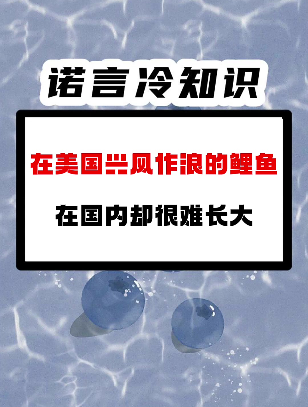 在M国兴风作浪的非洲鲤鱼在国内却很难长大