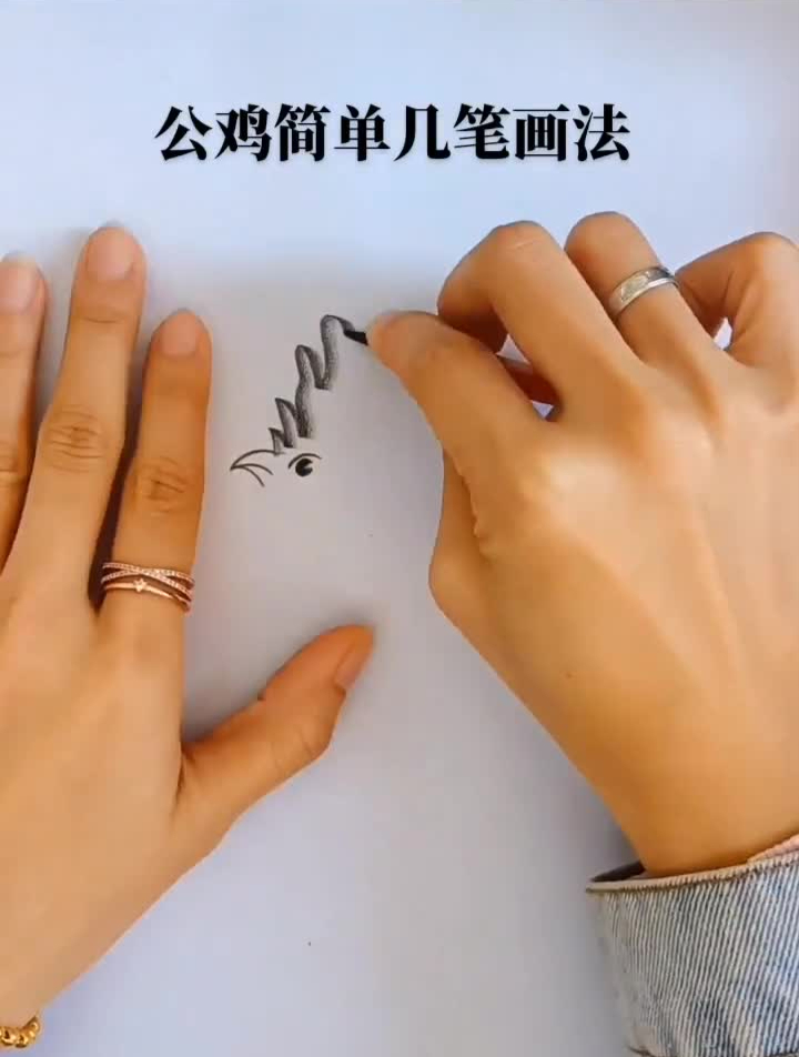 公鸡简单几笔画法简笔画教程充能计划零基础学画画一起学画画画画
