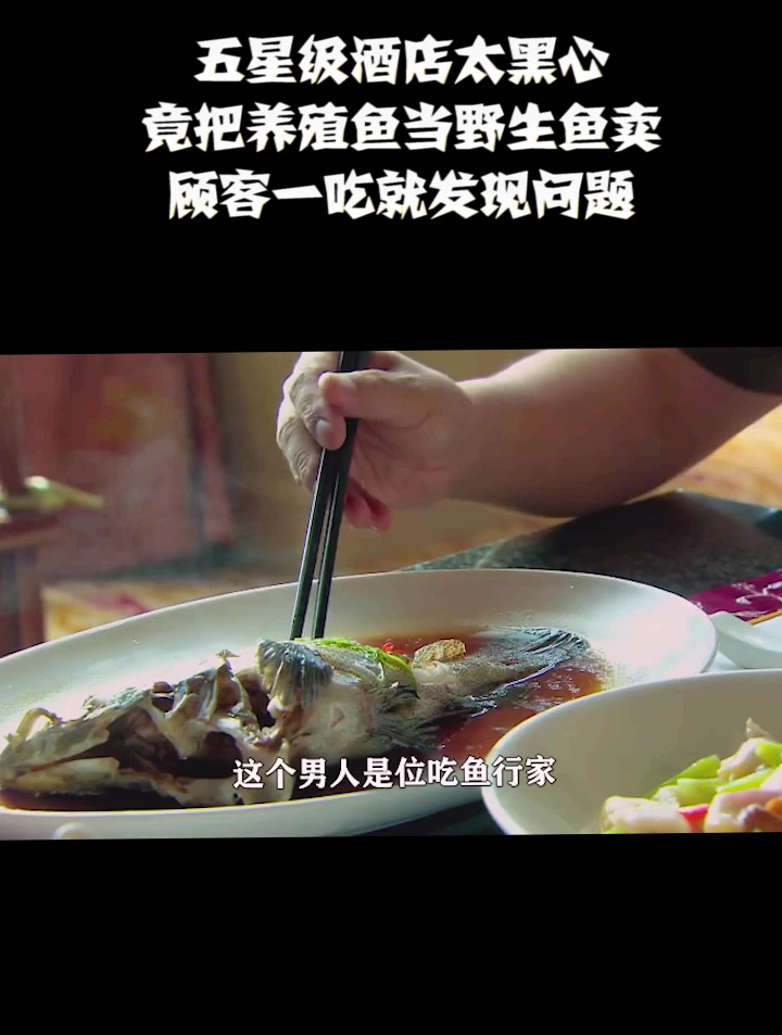 五星级酒店太黑心,把养殖鱼当野生卖,顾客一吃就发现问题(1)