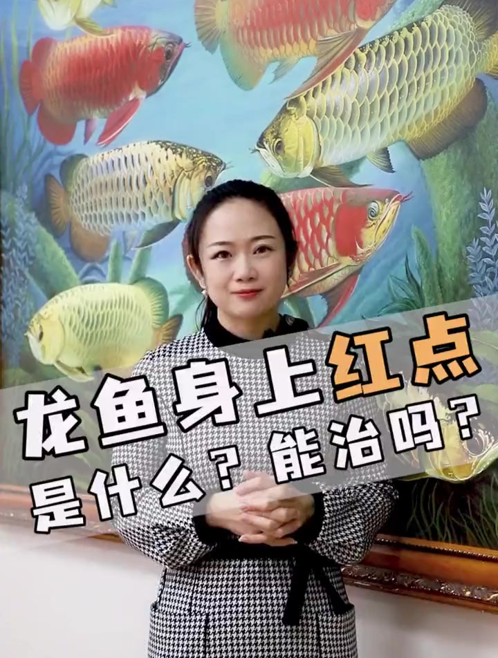 爱鱼身上有红点,那是啥能治吗?