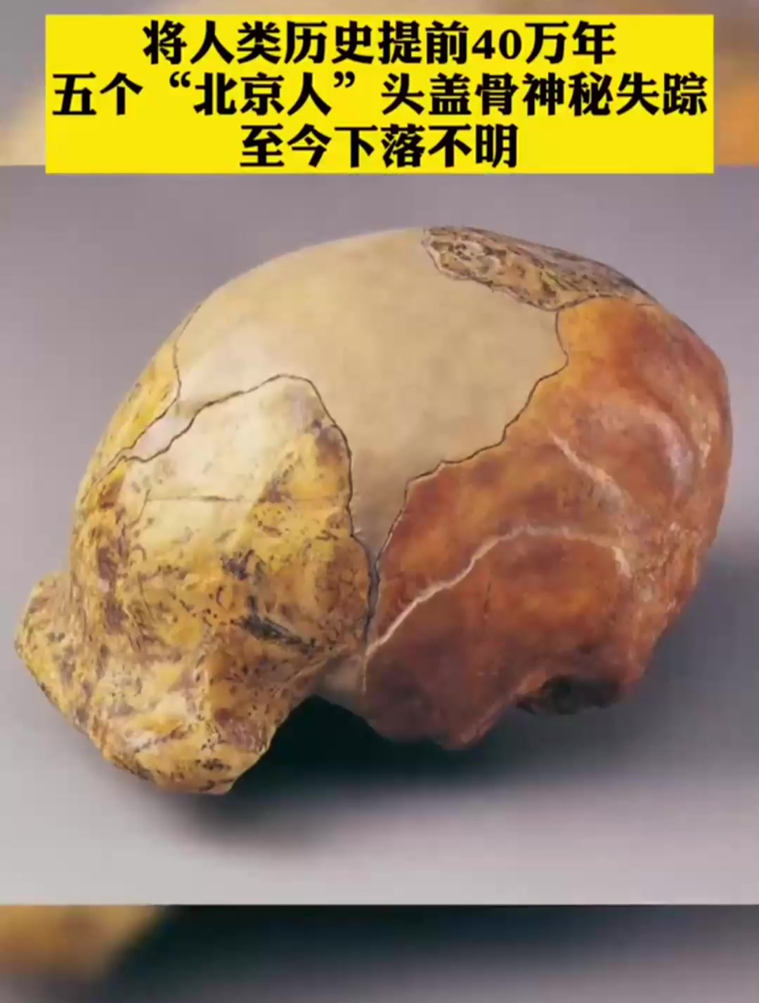 1929年,中国考古学家发现“北京人”头盖骨化石!震惊世界!