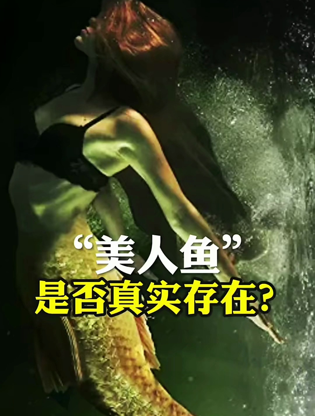 美人鱼真的存在吗?