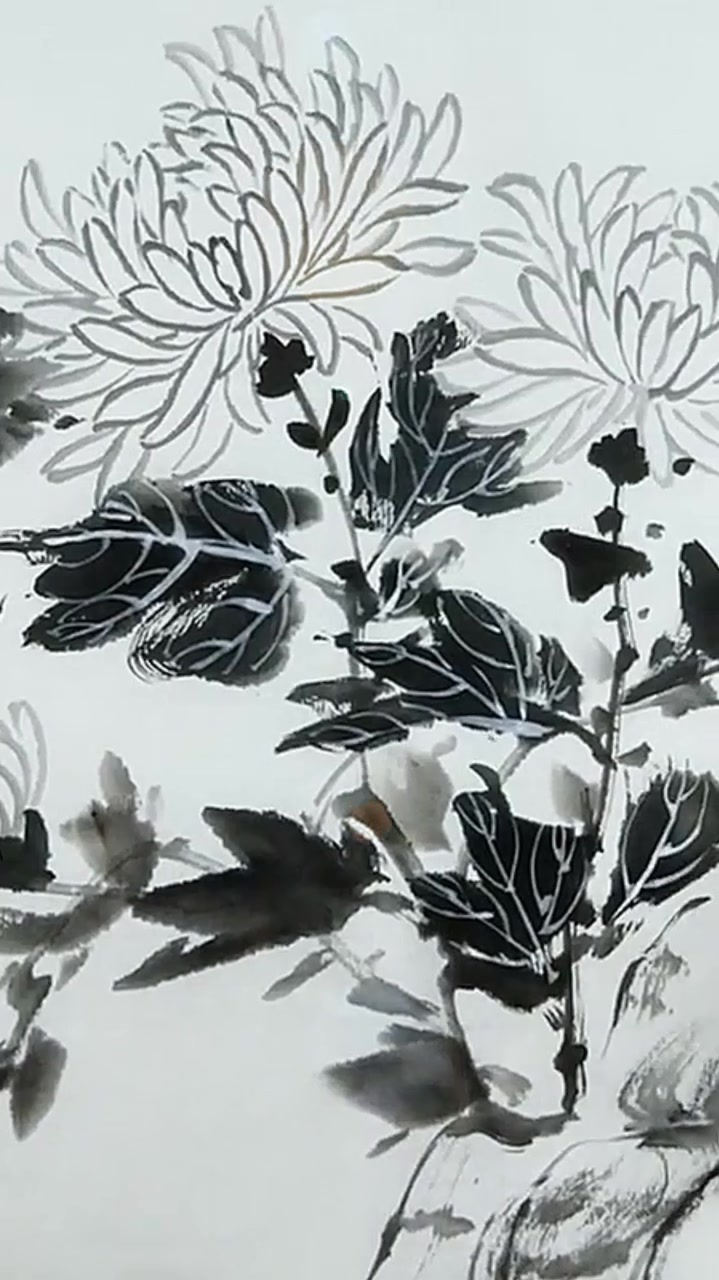 来一个菊花画法!